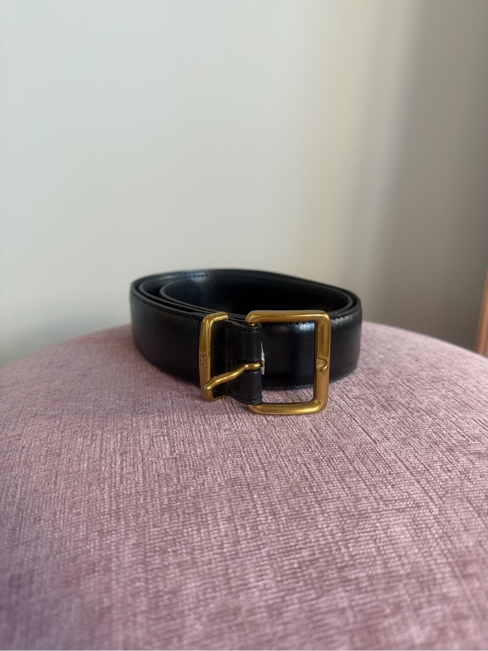 Aritzia black Belt with Brass Buckle